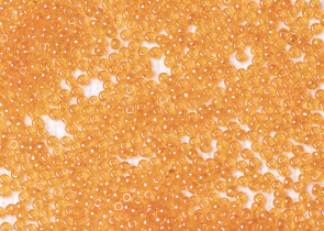 Бисер Чехия круглый 10/0 50г 96000 оранжевый